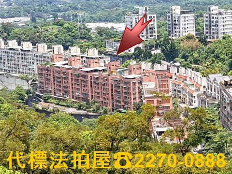 新北土城法拍華廈-0